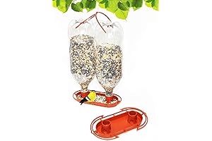 Gadjit Soda Bottle Hummingbird Feeder