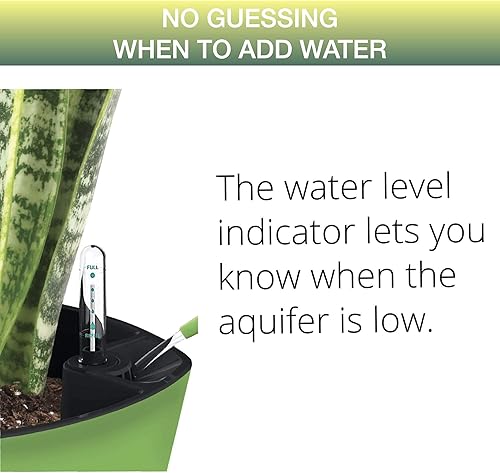 Miniatura 4 de Window Garden - Maceta autorregable Aquaphoric de 7 pulg. + Tierra de fibra  Jardín interior infalible Maceta decorativa para plantas de hogar,