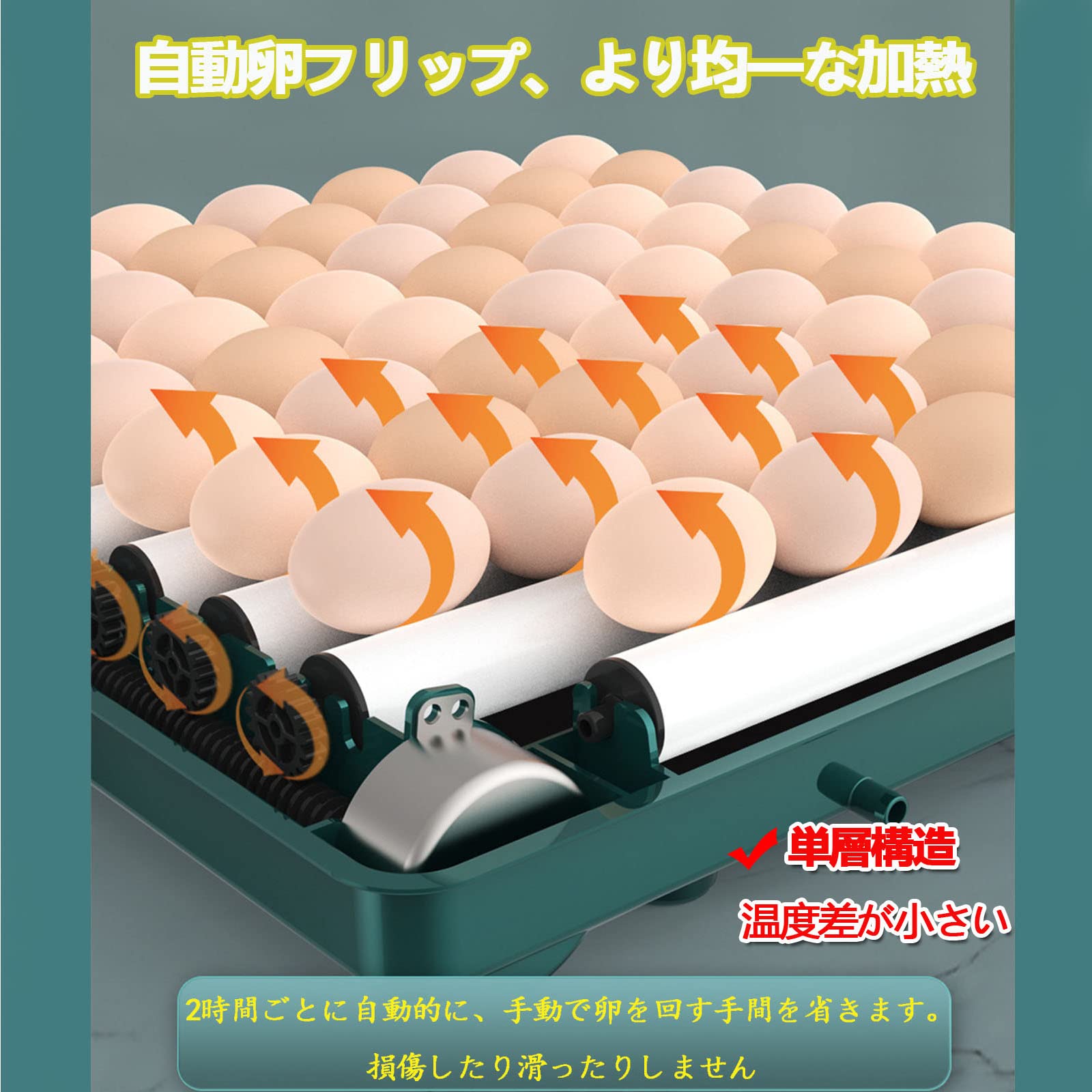 Amazon.co.jp: 自動インキュベーター 自動孵卵器 孵卵機 自動転卵 卵