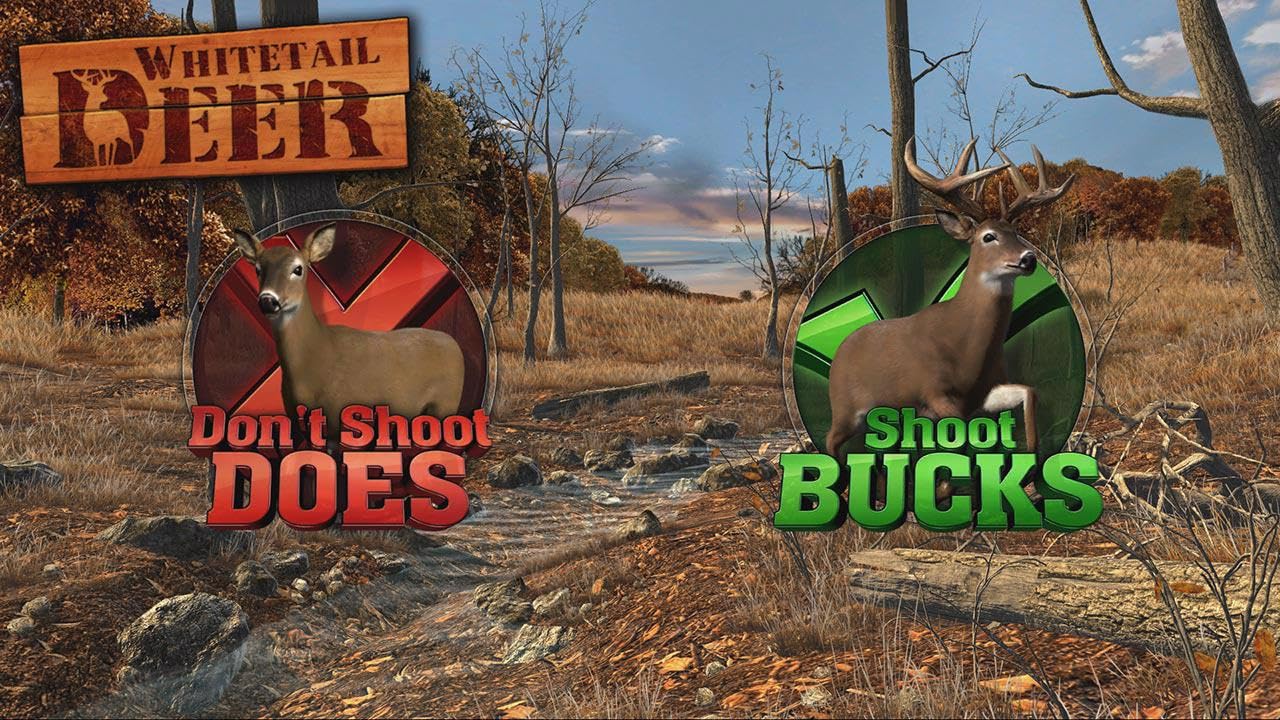 Big Buck Hunter Arcade
