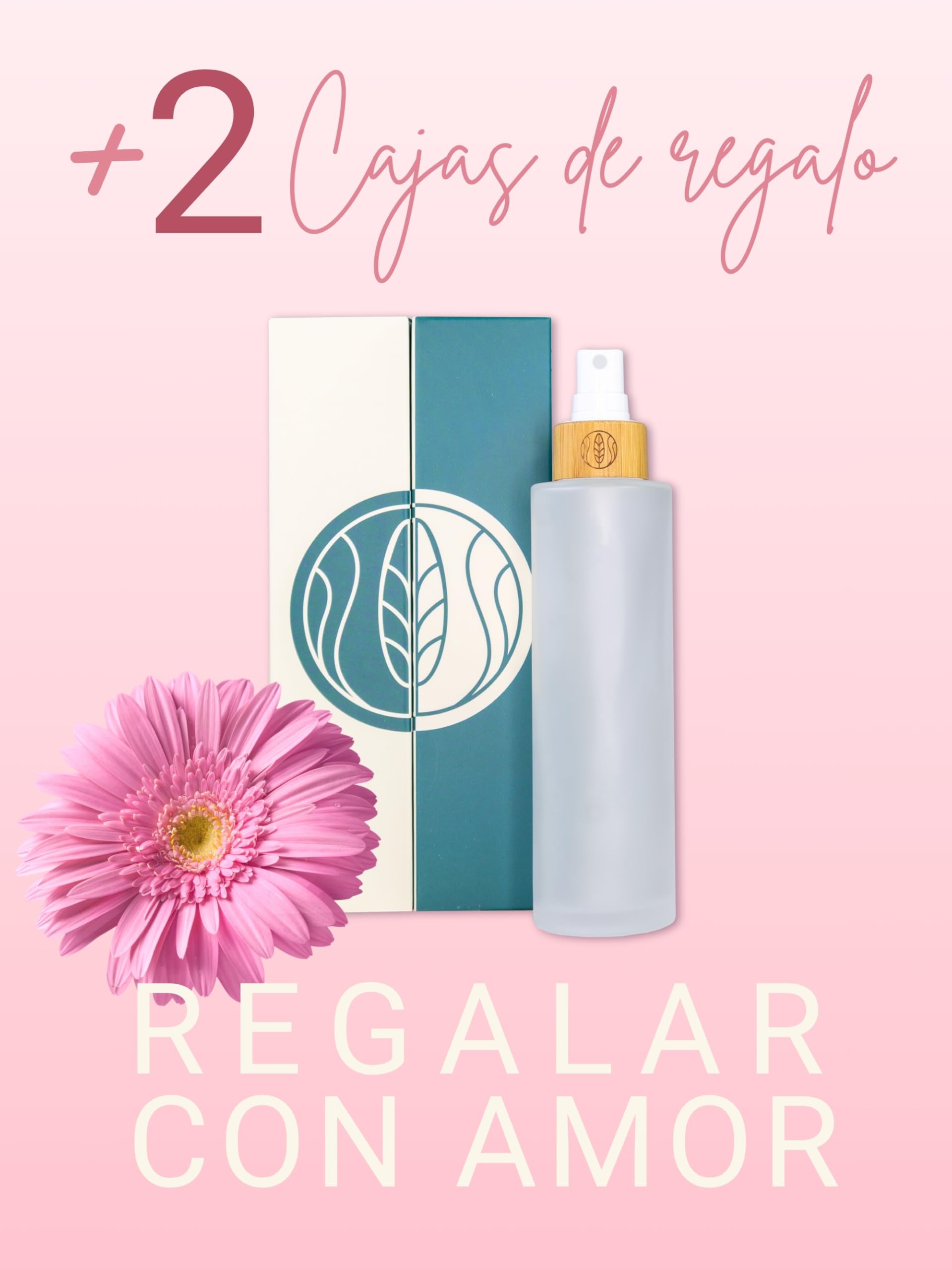 Wachsmann | Tarro de cristal de alta calidad con tapa de bambú | Para la cosmética natural sostenible DIY | Con embalaje de regalo | Recipiente de viaje para ungüentos y lociones
