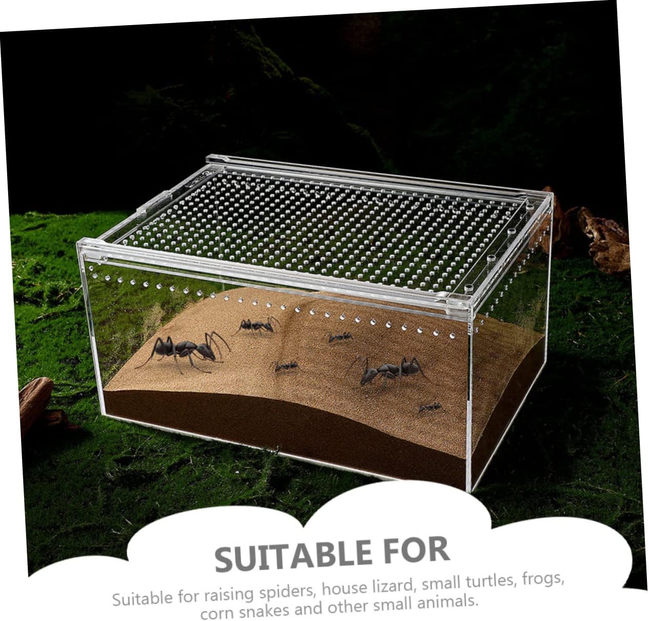 SUPVOX Leak-Proof Reptile Enclosure Habitat Box for Spiders Lizards and Small Reptiles No Assembly Required Practical Feeding Bin for Tarantula and Small