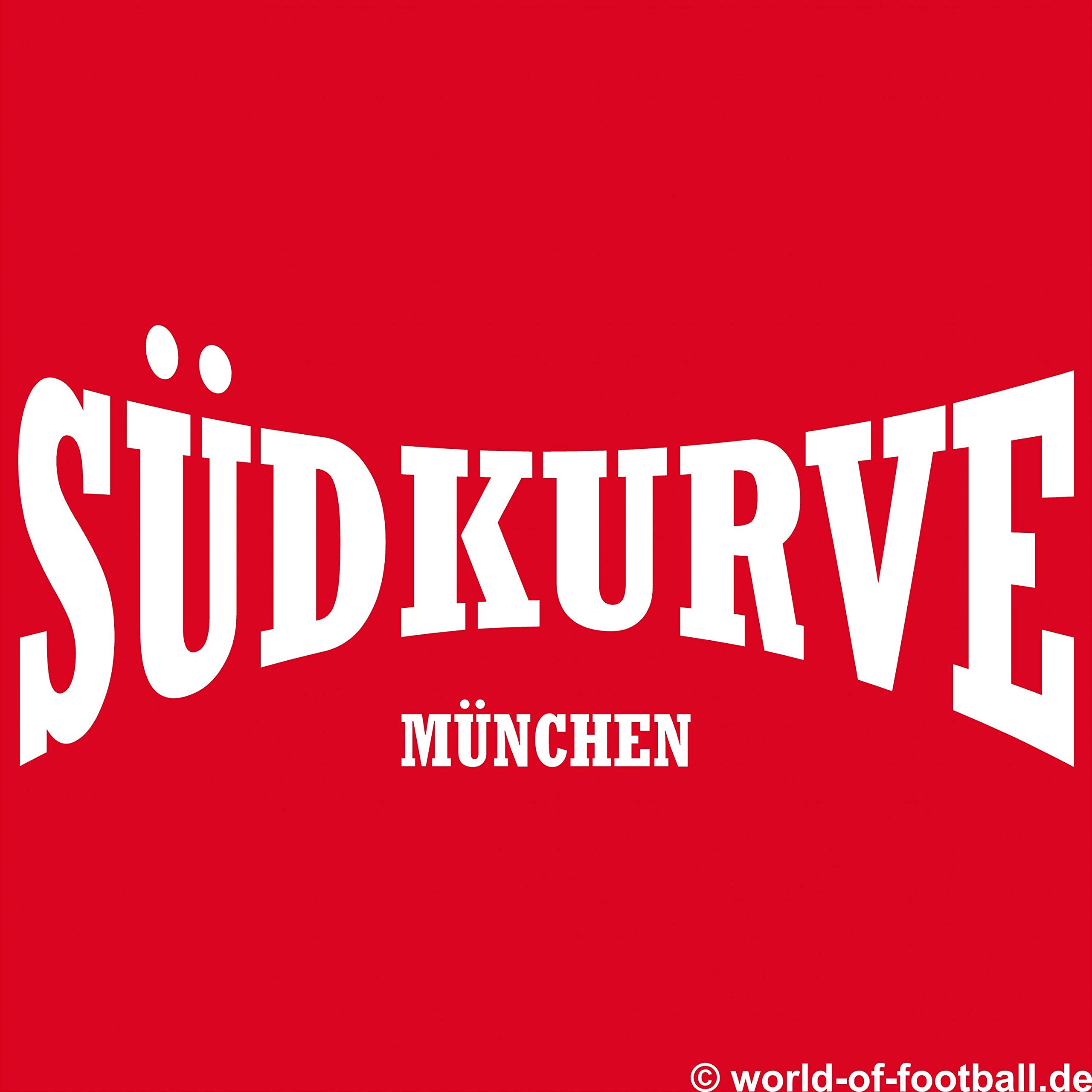Herren Pullover Hoodie Südkurve München Bayern rot