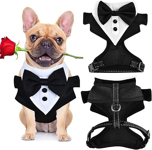 Arnés para perros pequeños, arnés de Chihuahua a rayas con correa, bonito arnés para cachorro, arnés de chaleco para perro, arnés para perro sin