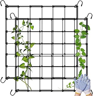 2 Stück Pflanzenstütznetz - Wachsen Zelt Netz 120 * 120CM, Ranknetz für Pflanzen, Pflanzennetz mit Haken, Gewächshauszeltnetz, Stütznetz Gartennetz, Spaliernetz für Gartenarbeit Pflanzzelt