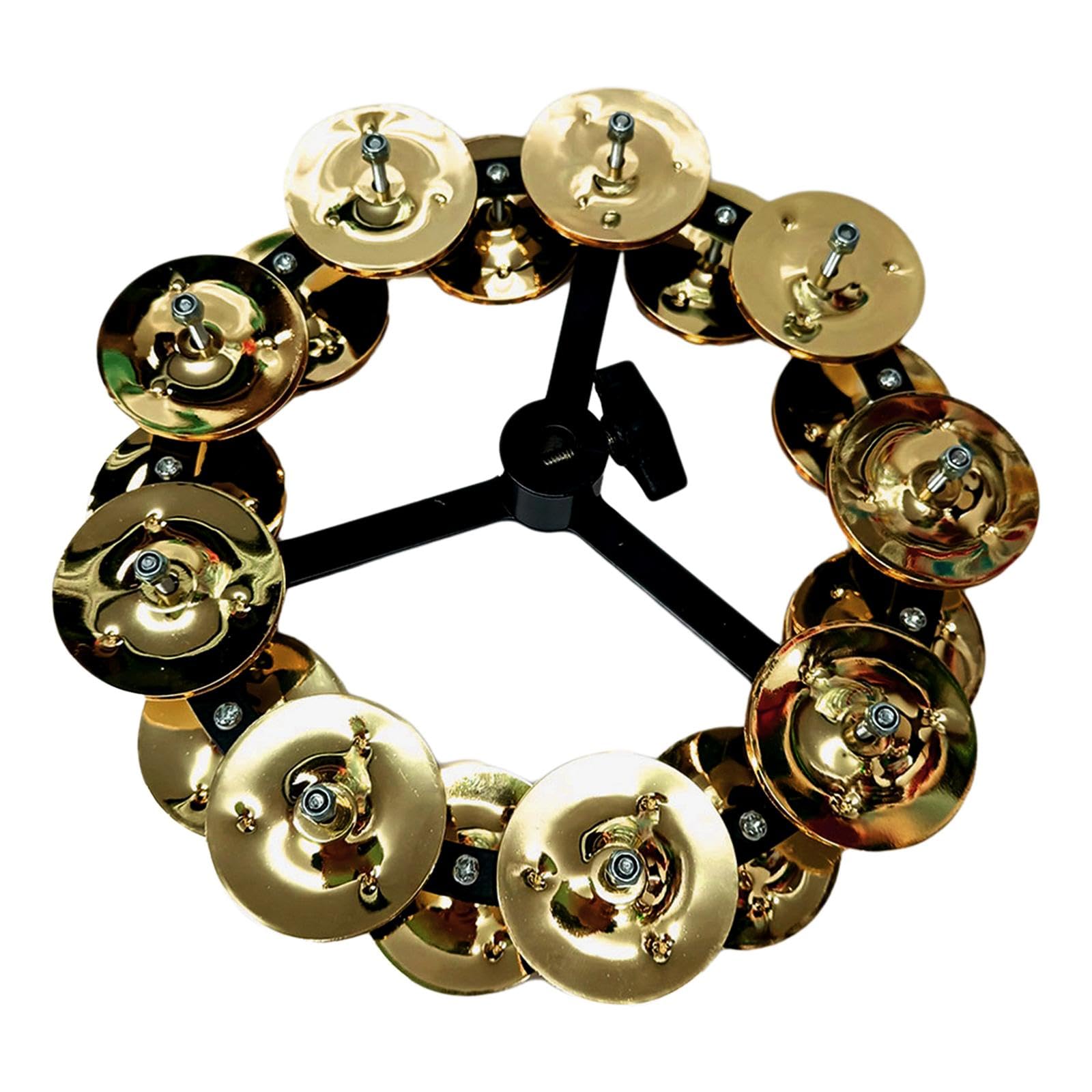 ⑧ スマイリー 様 tambourine Praise Tambourine - Celebrate, 10