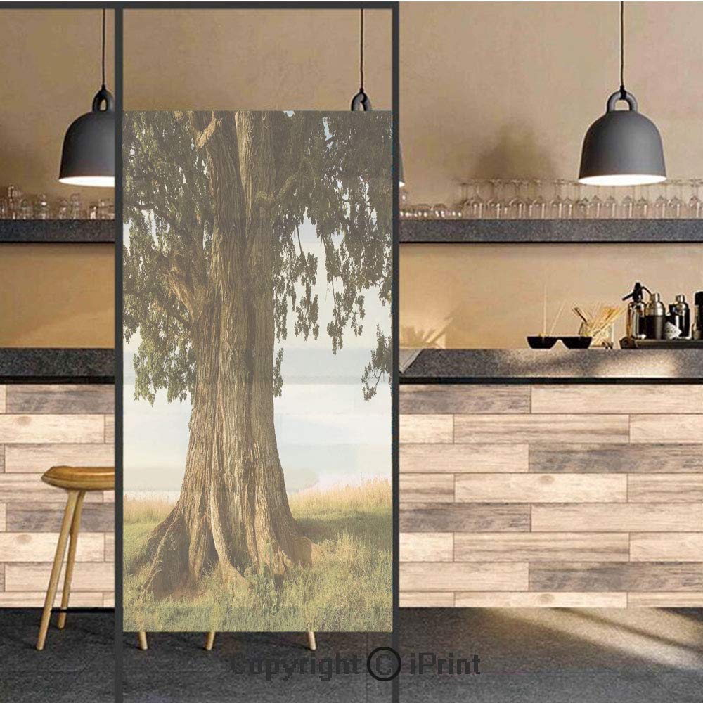 3D Decorative Privacy Window Films,Majestic Oak Tree on Grass Estonia Northern Europe Rural in Summer Landscape,No-Glue Self Static Cling Glass film for Home Bedroom Bathroom Kitchen Office 24x48 Inch