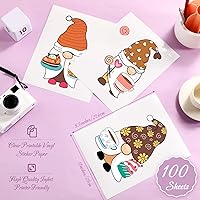 Vista 2 de Riakrum 100 Sheets Clear Printable Sticker Paper for Inkjet Printer 8.5 x 11'' Transparent Waterproof Sticker Paper Letter Size Adhesive Clear