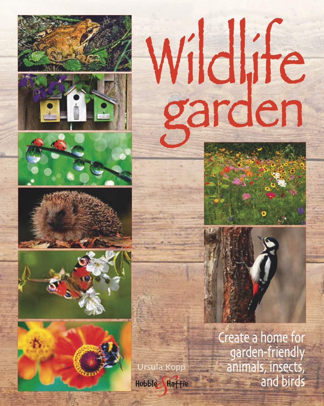 Wildlife garden