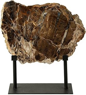 Petrified Wood Sculpture with Stand, Retro Abstract Natural Stone Decor, Handcrafted Office Desk Art for Home, Shelf, Entryway, and Modern Interior