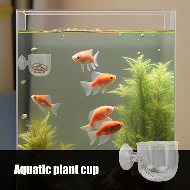 Foto 2 de 8 de Alimentador de de Sangre de Acuario, Soporte para pecera de Plantas vivas, camarones y salmuera