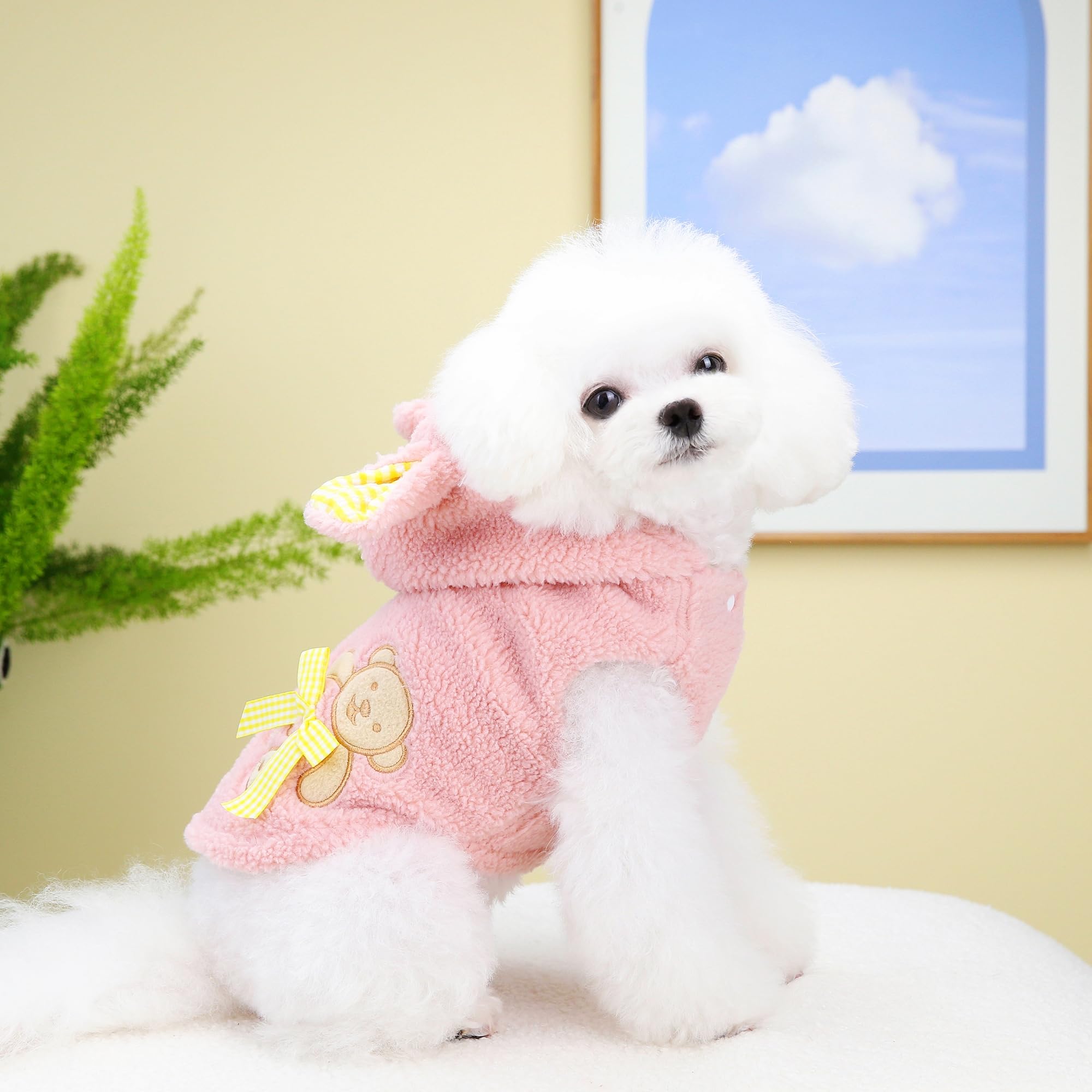 Classy Canine Outdoor Jacket - Bunny Hoodie
