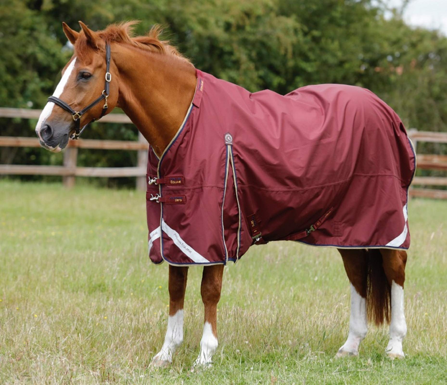 Premier Equine Manta Impermeable para Caballos con cubrecuello Buster 0 g