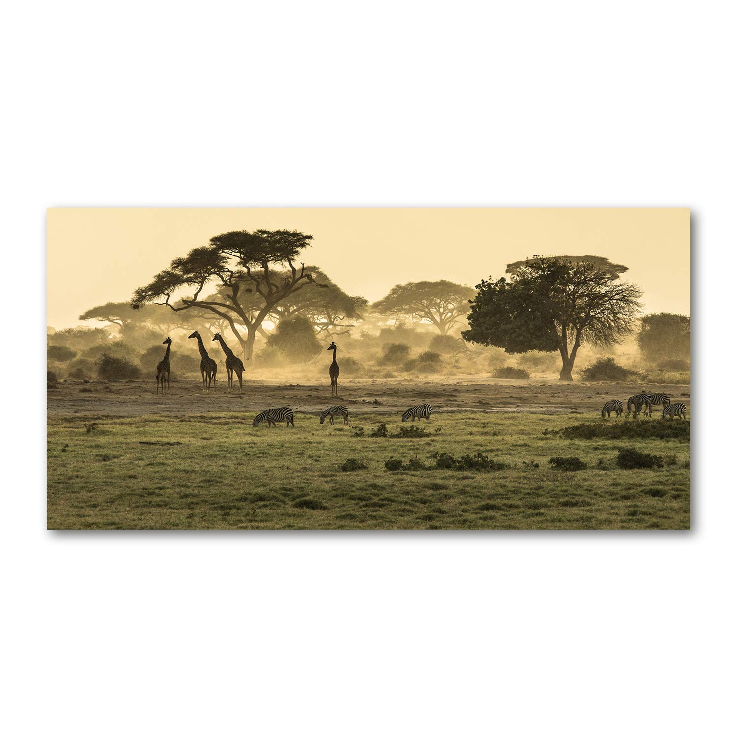 Tableau verre acrylique 140x70 cm girafe beige pour décoration