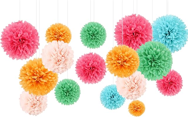 AOBKIAT Weddings Decorations 16 Pcs Assorted Rainbow Color Tissue Paper Pom Poms Flower for Birthday, Wedding, Christening, Baby Shower, Kitchen Tea, Nursery Decorations