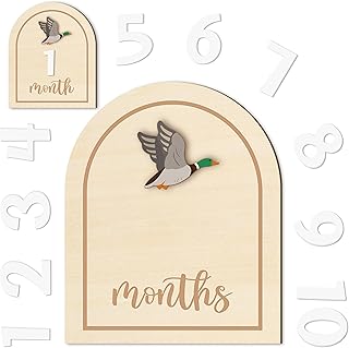 R HORSE Baby Monthly Milestone Cards, 14Pcs 3D Mallard Duck Wooden Monthly Milestone Discs with Number Cards, Newborn Months Signs Announcement Baby Shower Photo Props Gifts for Girls Boys