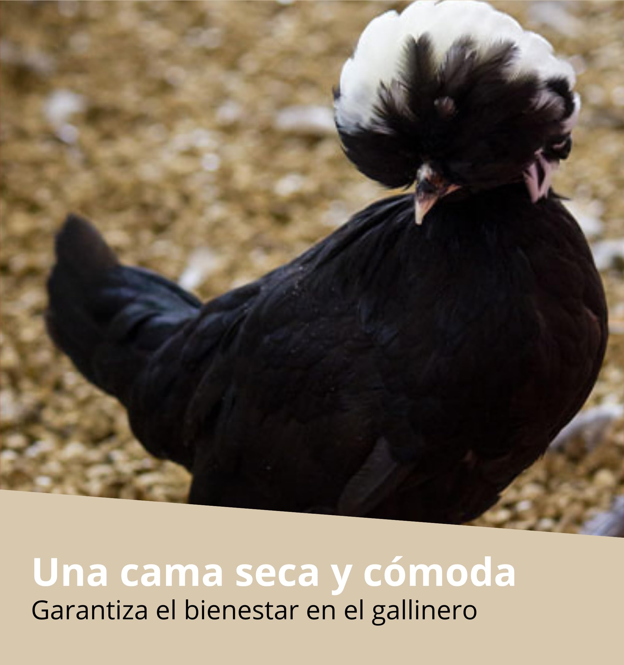FINCA CASAREJO Cama para Aves en Pellet con Tabaco Natural - Antiparasitario, Absorbente y Compostable - 100% Natural - Higiene para Gallineros - 17kg