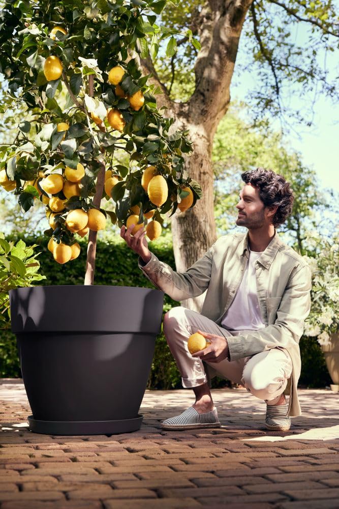 Elho Vibia Campana 65cm Maceta - Anthracite | ∅ 65 x 56 cm | Macetero por Exterior | Plástico 100% reciclado