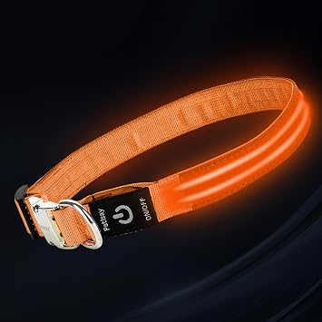LED Dog Collar with Metal Buckle - USB Rechargeable Glow Collar for Dogs, Waterproof Light Up Dog Collar w/Reflective Strips - Adjustable Night Safety Collars by PetIsayOrange,Large