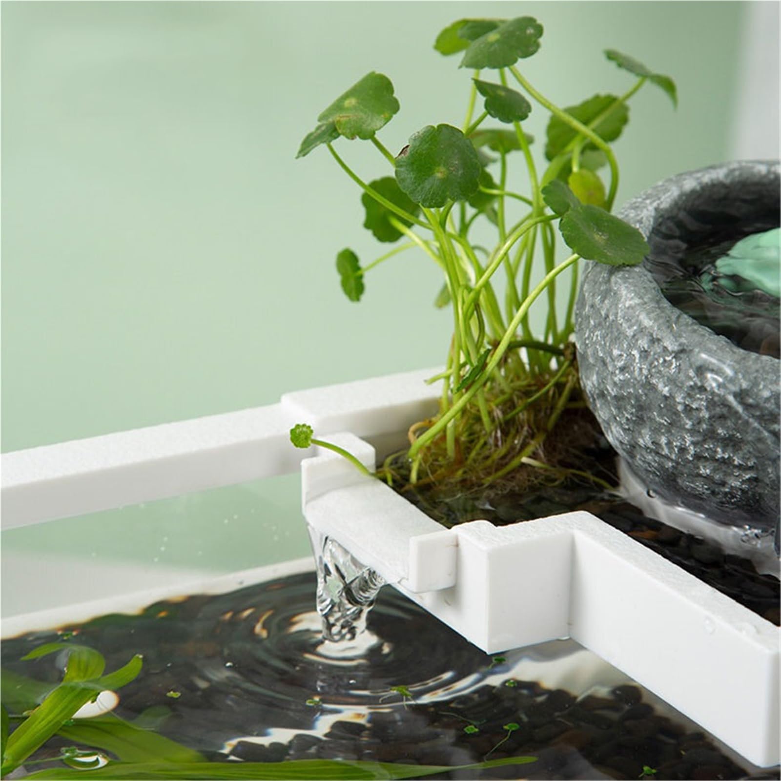 Siedlisko terrarium Pulpit Krajobraz Ekologiczna miska do karmienia czarnego żółwia Terrarium akwariowe