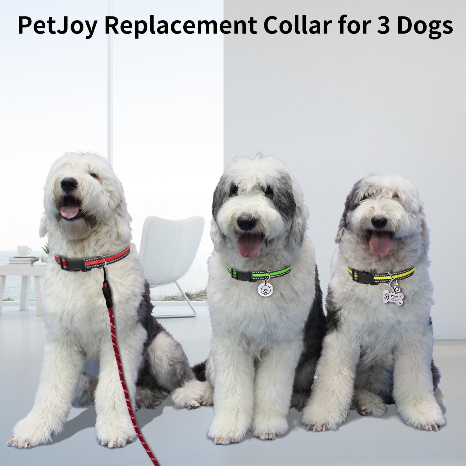 PetJoy 3 Dog Shock Collar with Remote – Includes 3 Extra Replacement Collars