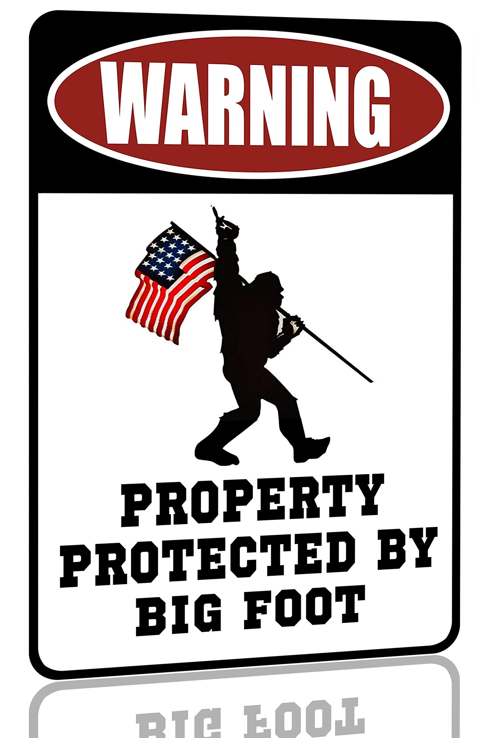Targa in Metallo Grande in Alluminio 20,3 x 30,5 cm OSHA Notice Sign with Security Camera Info in Inglese + Spagnolo Sign Metal Funny Warning Signs for House Decor 20,3 x 30,5 cm