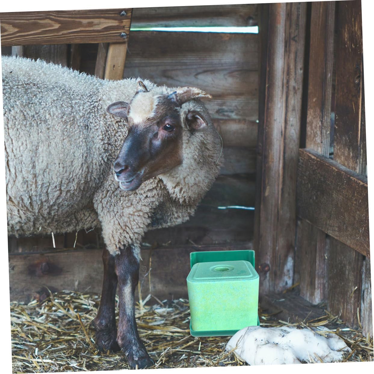 2Pcs Salt Brick Feeding Tray for Livestock PP Salt Block Holder for Cattle Sheep and Horse Thickened Animal Salt Licking Box for Nutritional Feeding