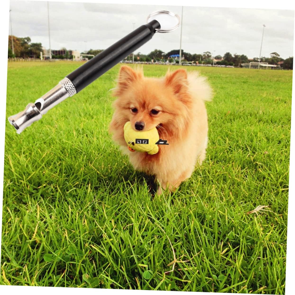 Dog Training Whistle Strap Frequency Control for Obedience Training Black Non-Corrosive Plated Safe and Humane Barking