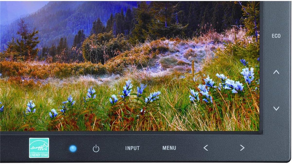 NEC EA234WMI-BK 23-Inch Screen LED-Lit Monitor,Black