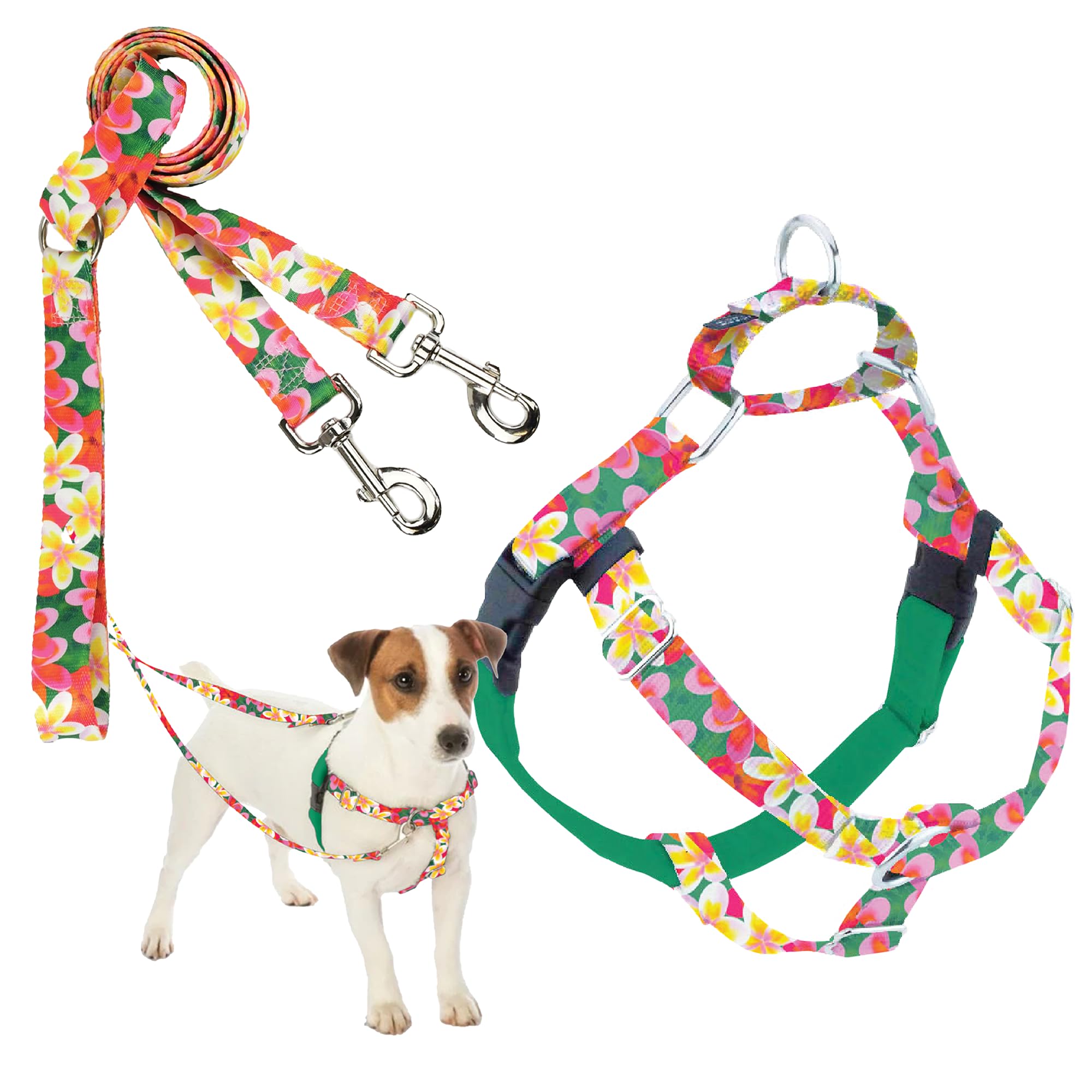 2 Hounds Design - Freedom No-Pull Harness & Training Leash in Green Aloha | Dual Leash Loops, No Pulling on Walks | Lined to Prevent Chaffing | for Small Sized Dogs (Size S, Chest 20”- 24”)