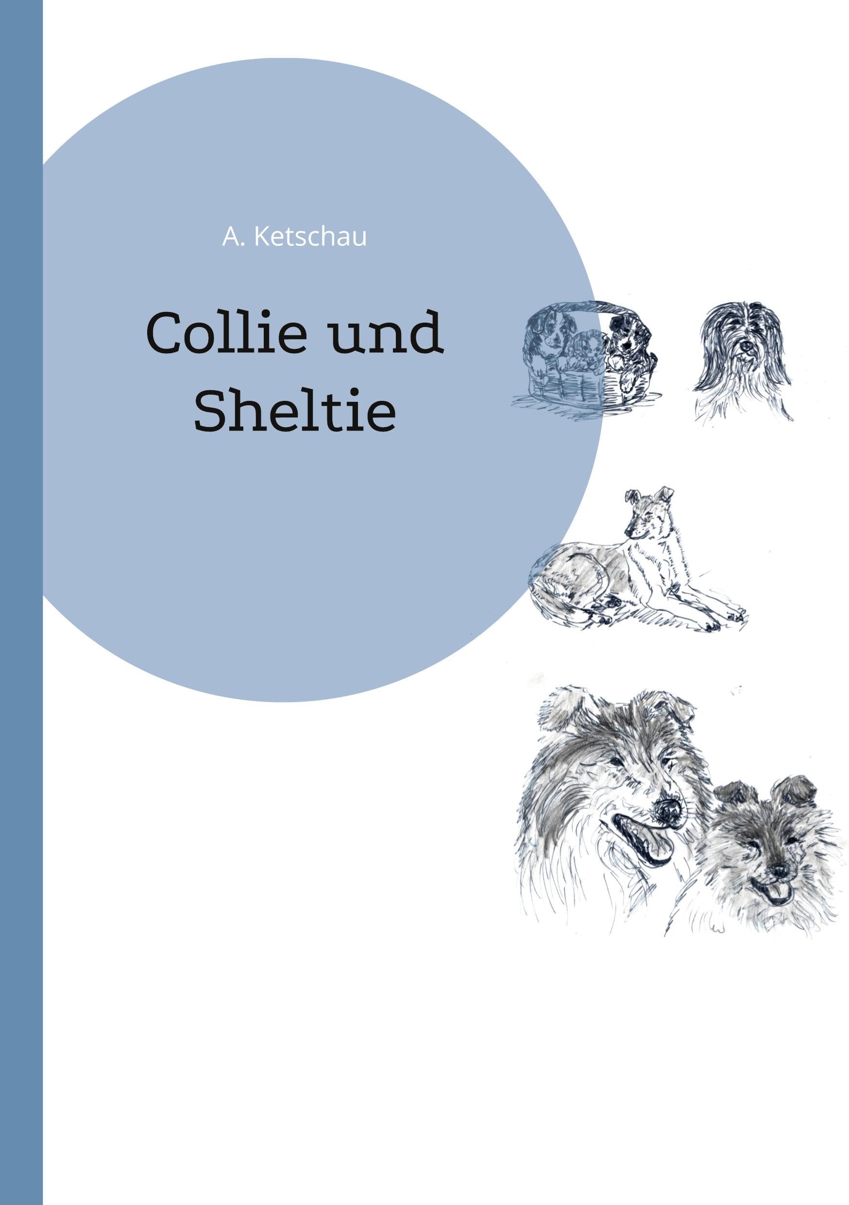 Collie und Sheltie