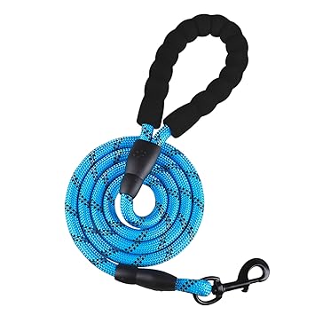 DGDELL Creations Nylon Dog Leash Heavy Duty Padded with Anti Slip Handle Reflective Rope for Medium & Large Dogs Training Leash 5 Feet Long Sky Blue
