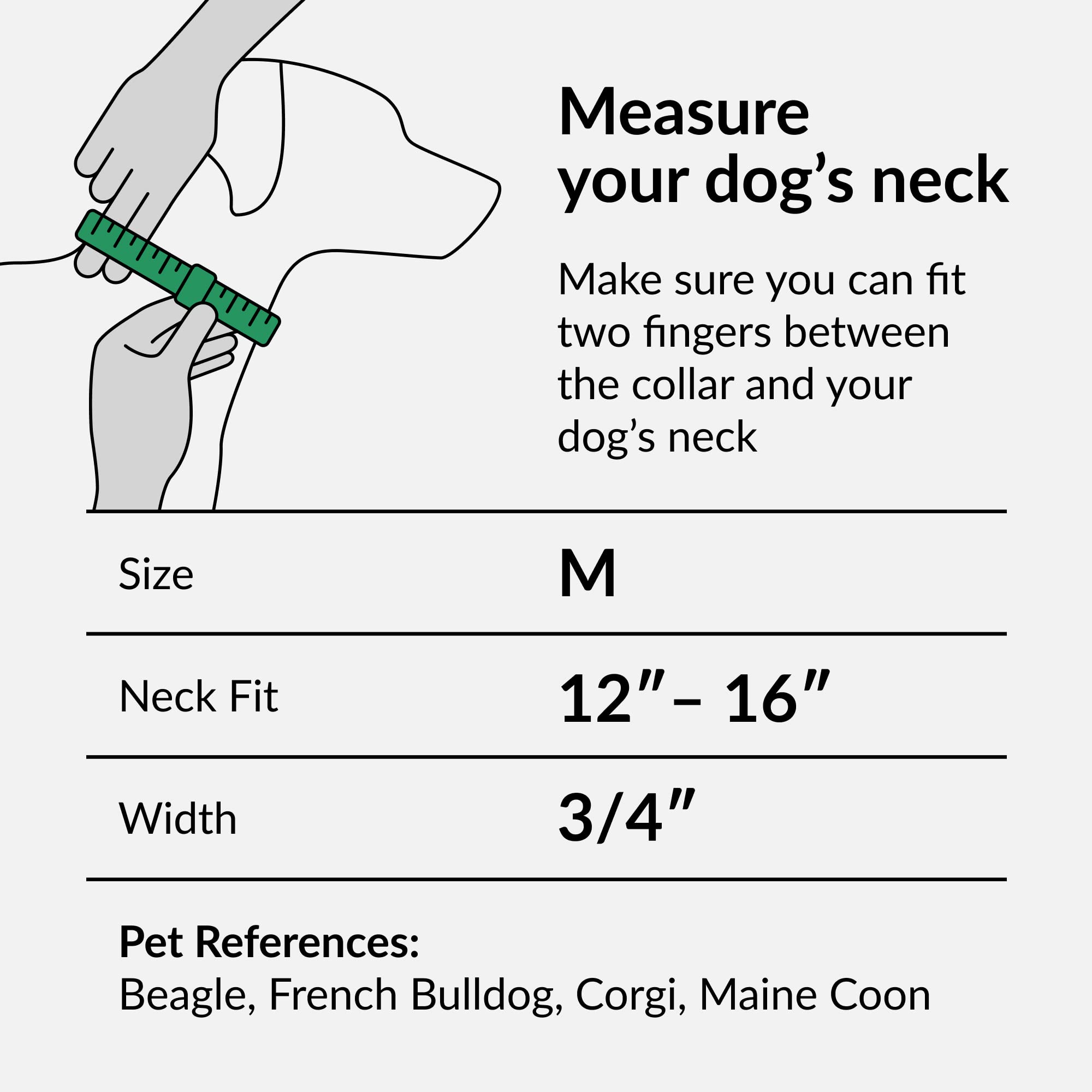 CollarDirect Hundehalsband Mit Blumenmuster – Verstellbares Nylonhalsband Für Kleine Bis Große Hunde