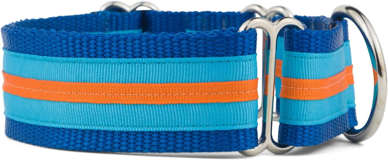 If It Barks - 1.5" Martingale Collar for Dogs - Stripe Design - Adjustable - Strong and Comfy Nylon - Ideal for Training - Made in USA - Large, Turquoise/Orange