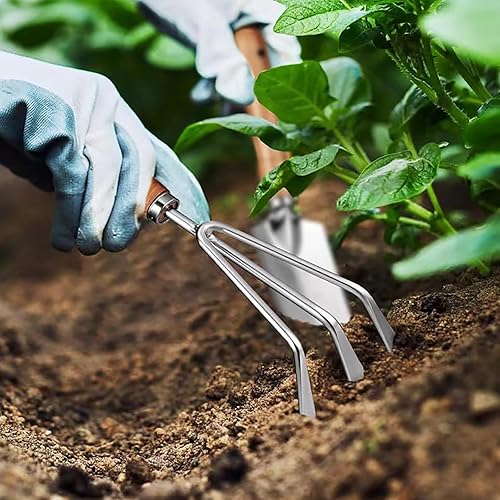 Miniatura 6 de Juego de herramientas de jardín, herramientas manuales de acero inoxidable de 5 piezas con asas de madera