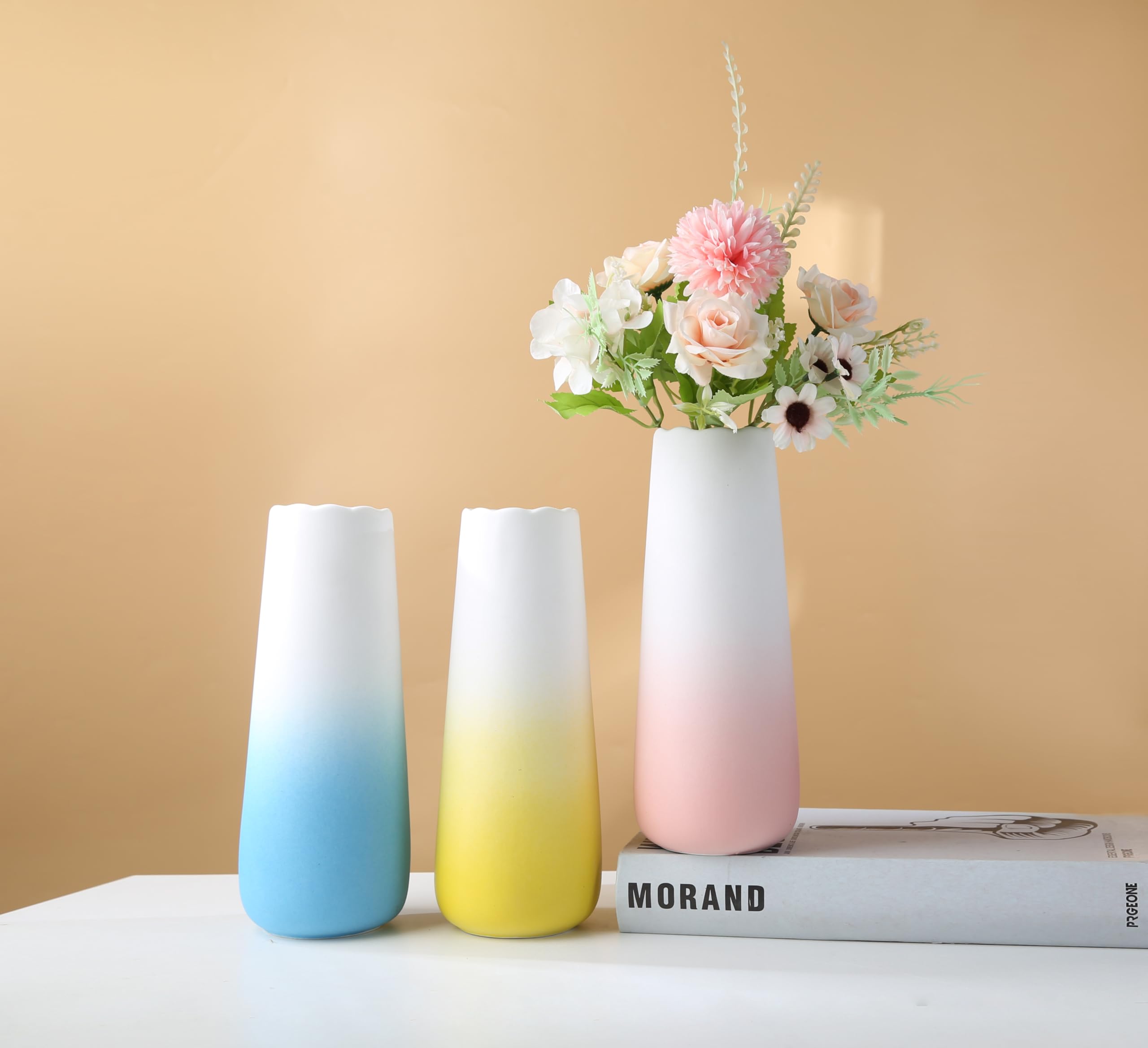 Amazon.co.jp: Lsbtaucp-9.4インチ マットグラデーションセラミック