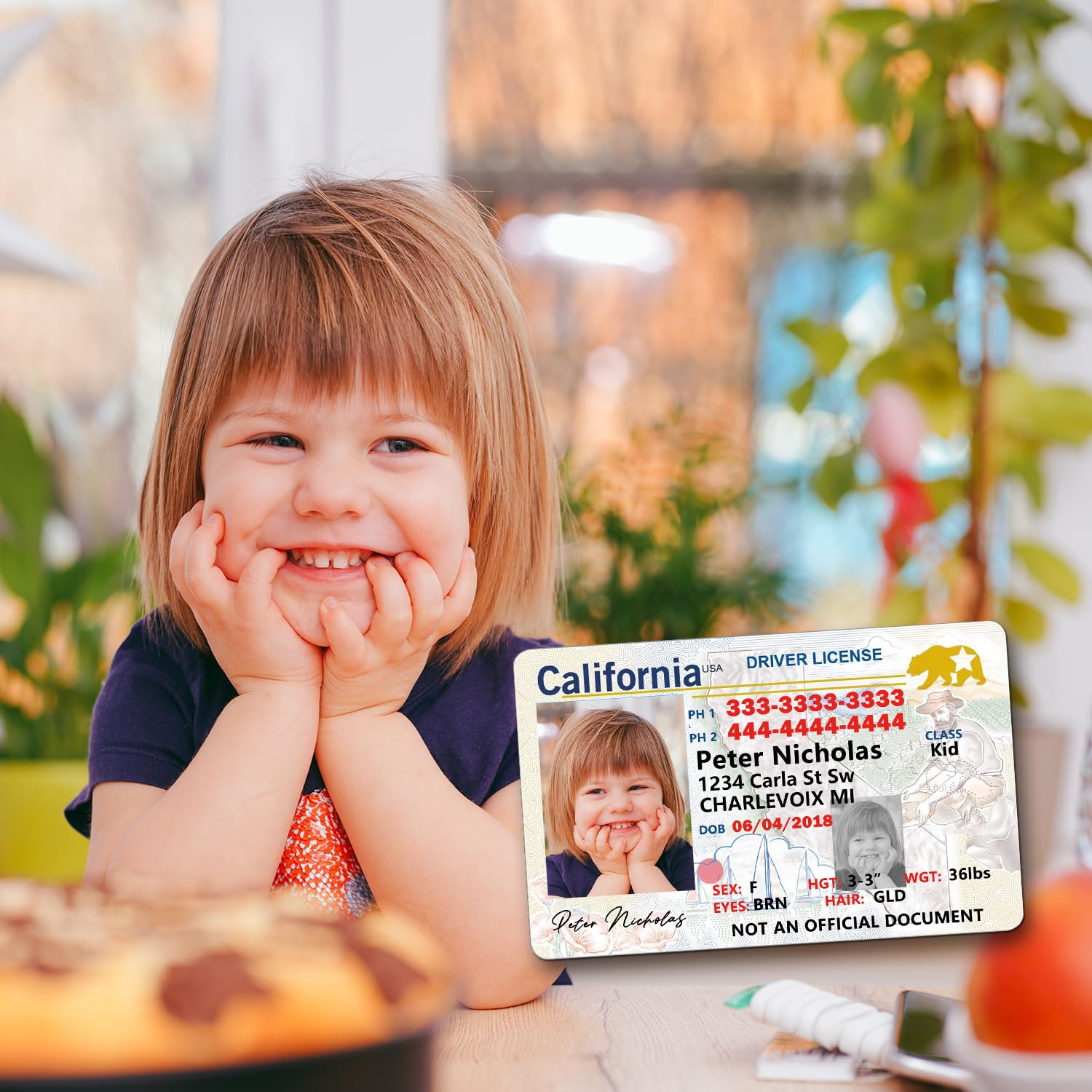 Child Id Card Design Kid Novelty Driver License Child Safety ...