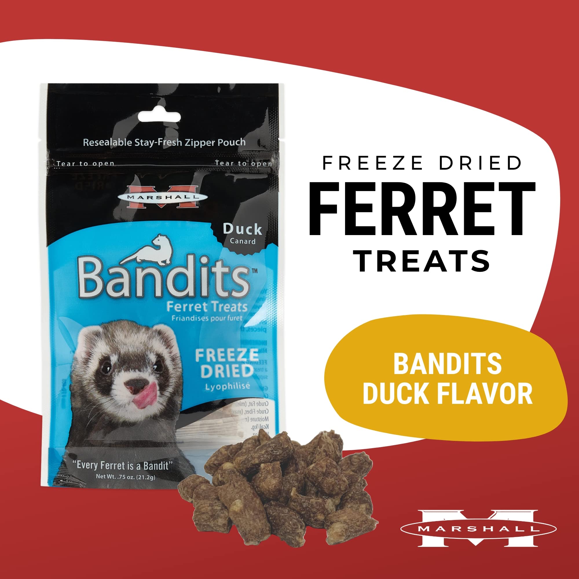 Can Ferrets Have Dog Treats