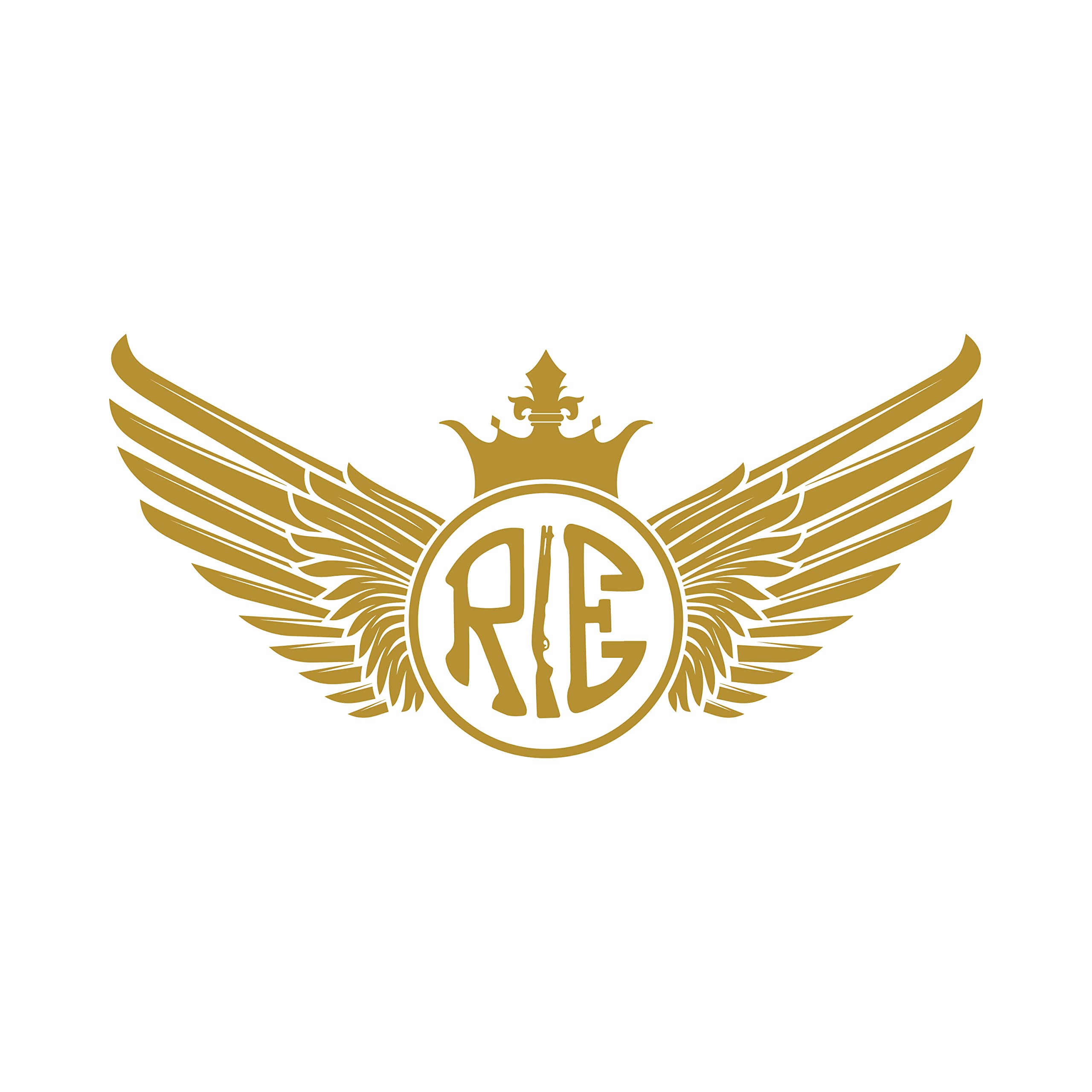 ISEE 360® RE Wings Bullet Vinyl Water Resistance Stickers Compatible for Royal Enfield Sides Tank, Battery Cover, Helmet L X H 11 X 5.5 Cms (Gold)-image-26
