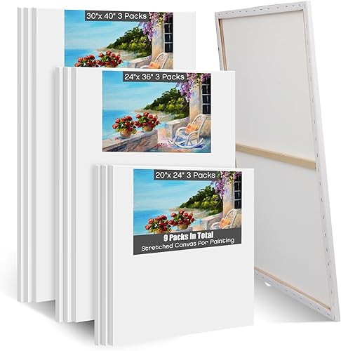 Thyle 9 Pack Large Stretched Canvas for Painting 30 x 40, 24 x 36, 20 x 24 Blank Canvas White 100% Cotton Profile Painting Canvas Primed Framed
