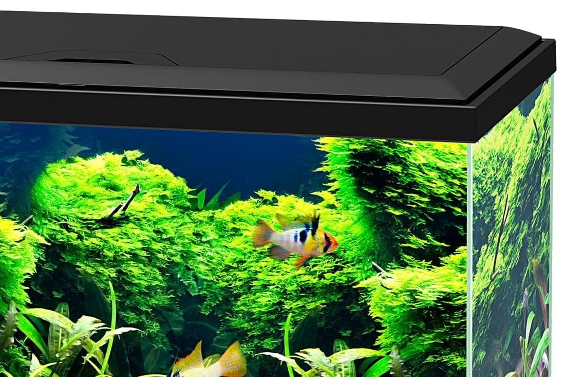 Love Aquatics 60 LED Tropical Glass Black Aquarium - Includes