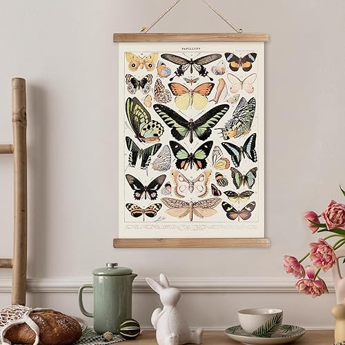 Miniatura 224 de XIAOAIKA Póster de botánica vintage con marco de madera, tabla de plantas venenosas antiguas, arte educativo botánico con especies peligrosas, 1