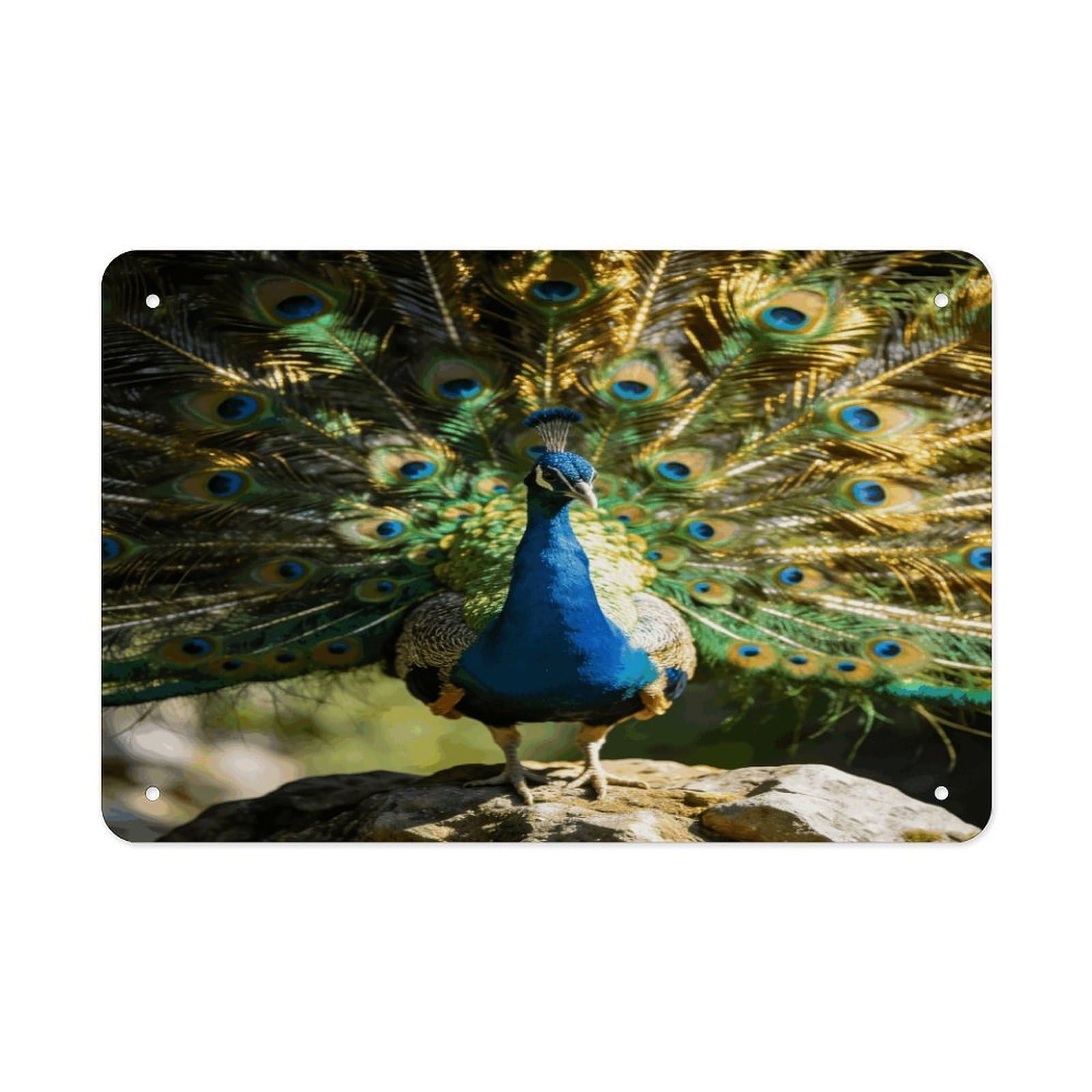 Khauerbc Style Beautiful Peacock With Colorful Feathers Tin Sign Iron Sheet Painting Unframed 11.8X7.9 Inch Metal Poster Wall Decor Iron Painting Wall Prints For Living Room Bedroom Office Home Decor