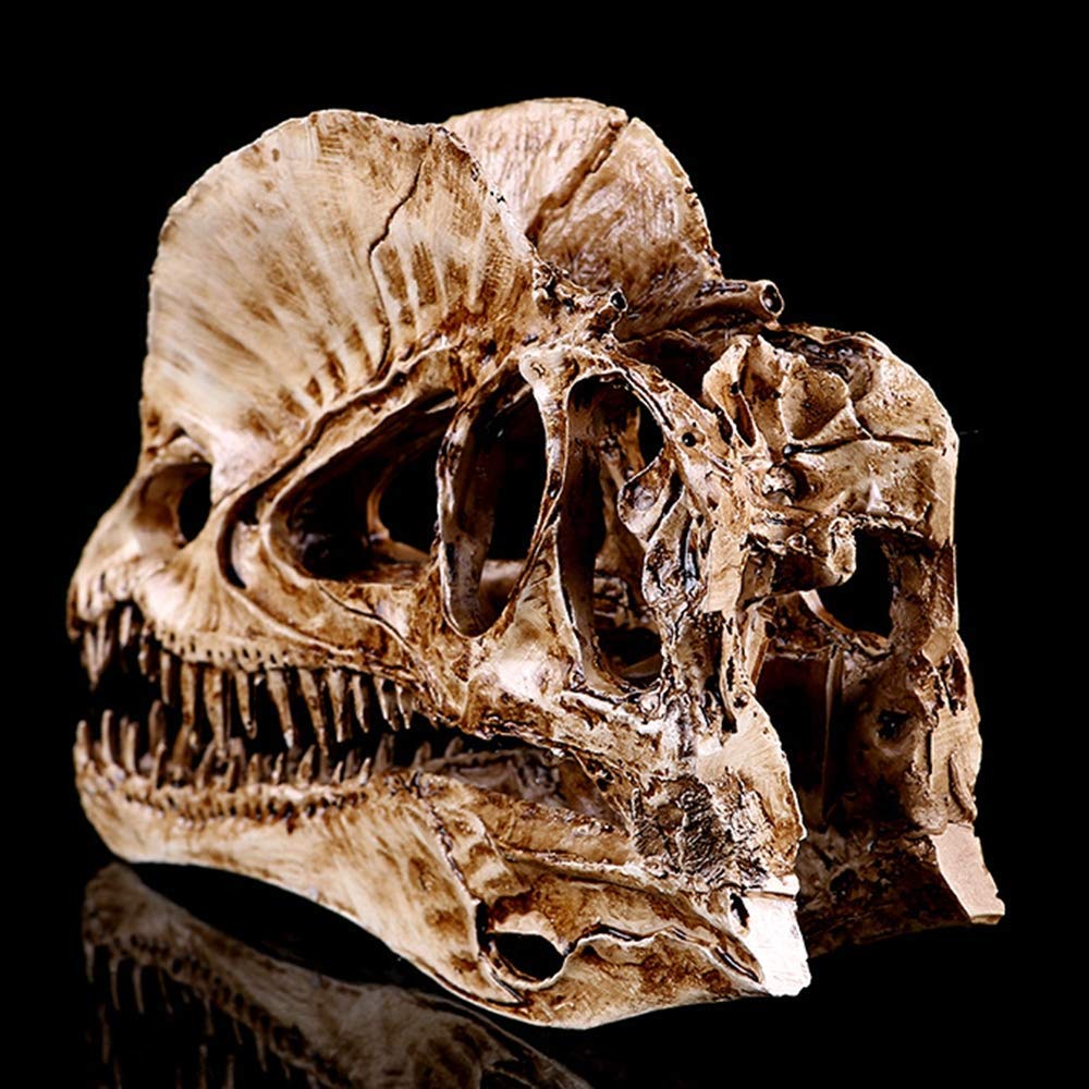 Sjdopulse Dinosaur Tooth Skull Fossil Teaching Skeleton Model Resin Crafts For Aquarium Ornament Home Decor Double Crown Dragon