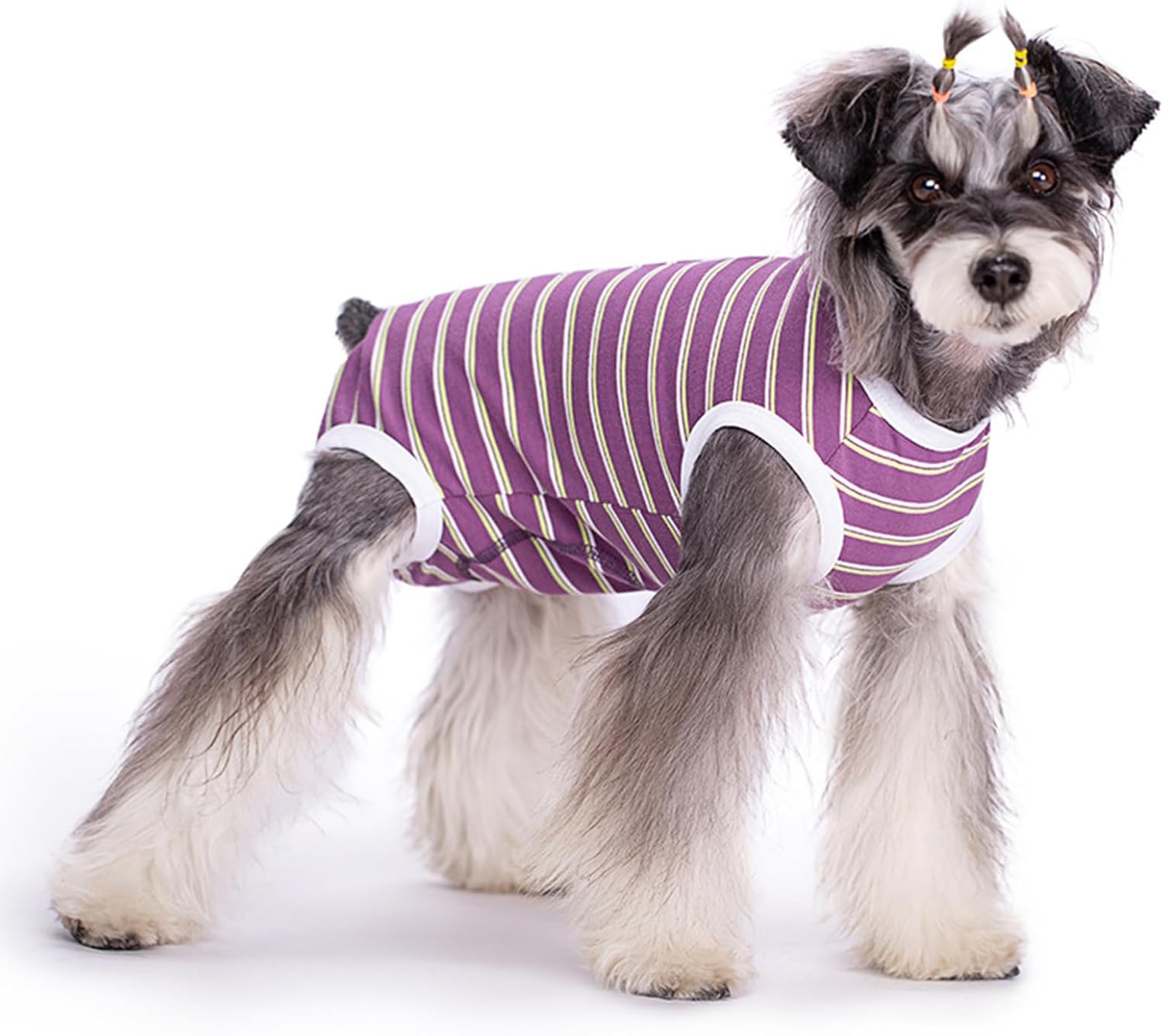 Recovery Suit for Dog,Puppy Medical Surgical Suit Pet Antilicking