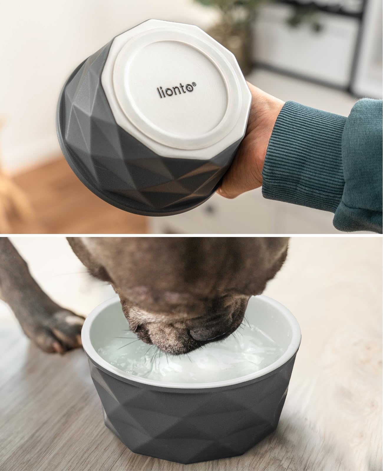 lionto Futternapf aus Keramik mit rutschfestem Silkonboden, 550 ml, Hundenapf aus robustem & geruchsneutralem Material, leicht zu reinigen, ergonomisches Design, Wassernapf für Hunde&Katzen, grau