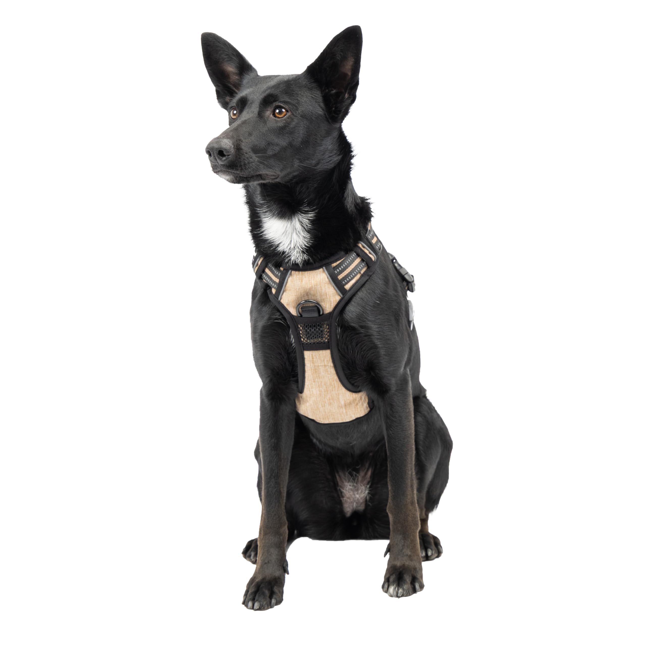 Ferplast Pettorina Cane Taglia Media, 2 Ganci per Massimo Controllo, Anti Tiro, Pettorina Cane Regolabile, Riflettente, Traspirante, Imbracatura Cani ideale per Addestramento M, Beige