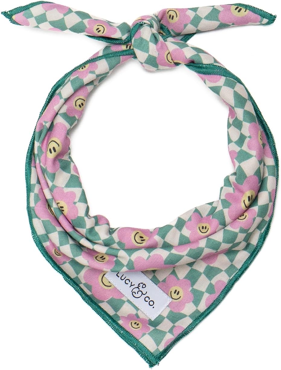 Lucy & Co. Making Rainbows, Cute Reversible Dog Harness Walking Halter - Best Designer Pet Harnesses for XS - XL Dogs - Padded Adjustable Vest for Easy Walking (Small)