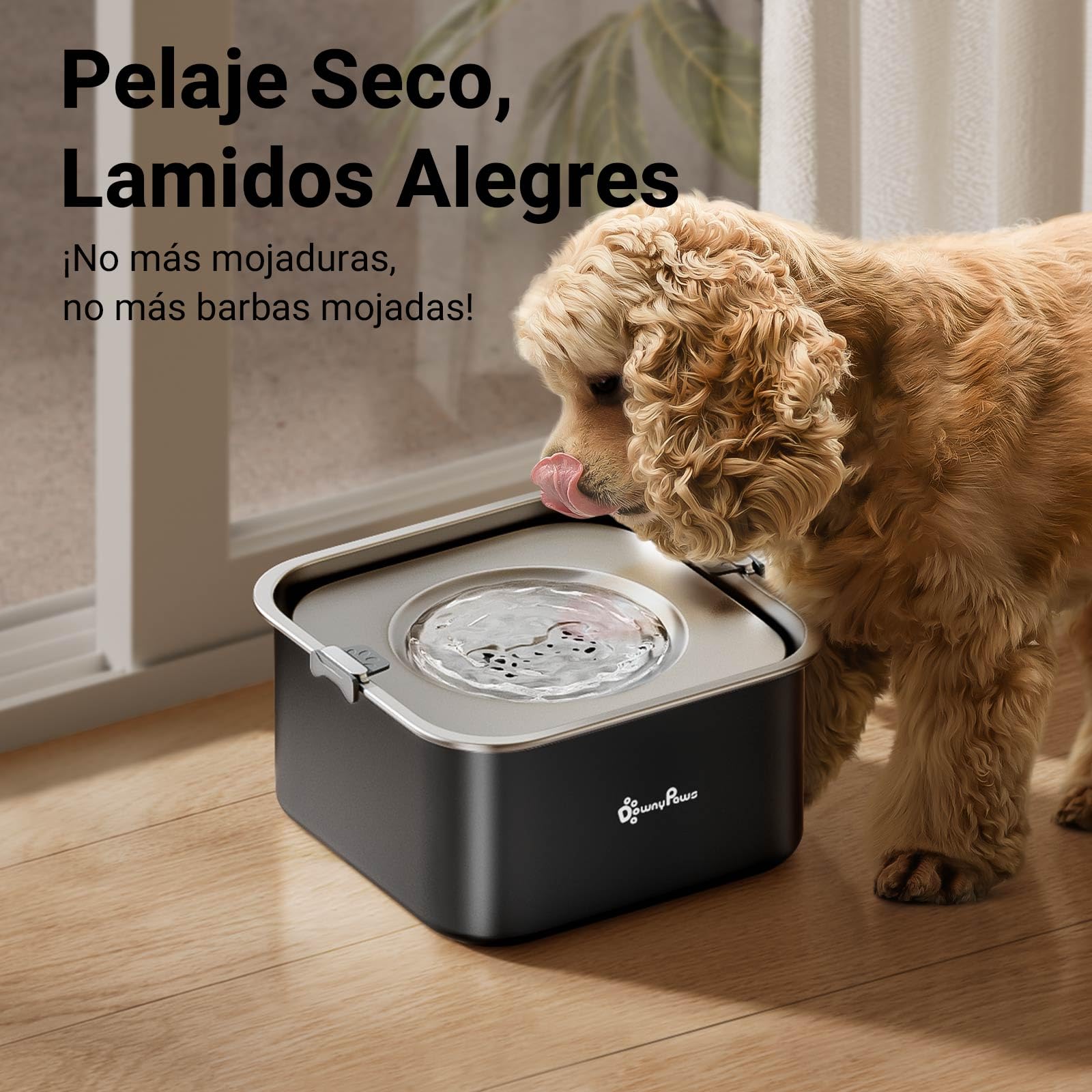 DownyPaws Bebedero Perro antigoteode Acero Inoxidable 3L, Bebedero Antigoteo Perro con Plato Flotante Sellado Integrado, Antipolvo y Antideslizante, Bebedero Perro Fomenta Beber Lentamente (Negro)