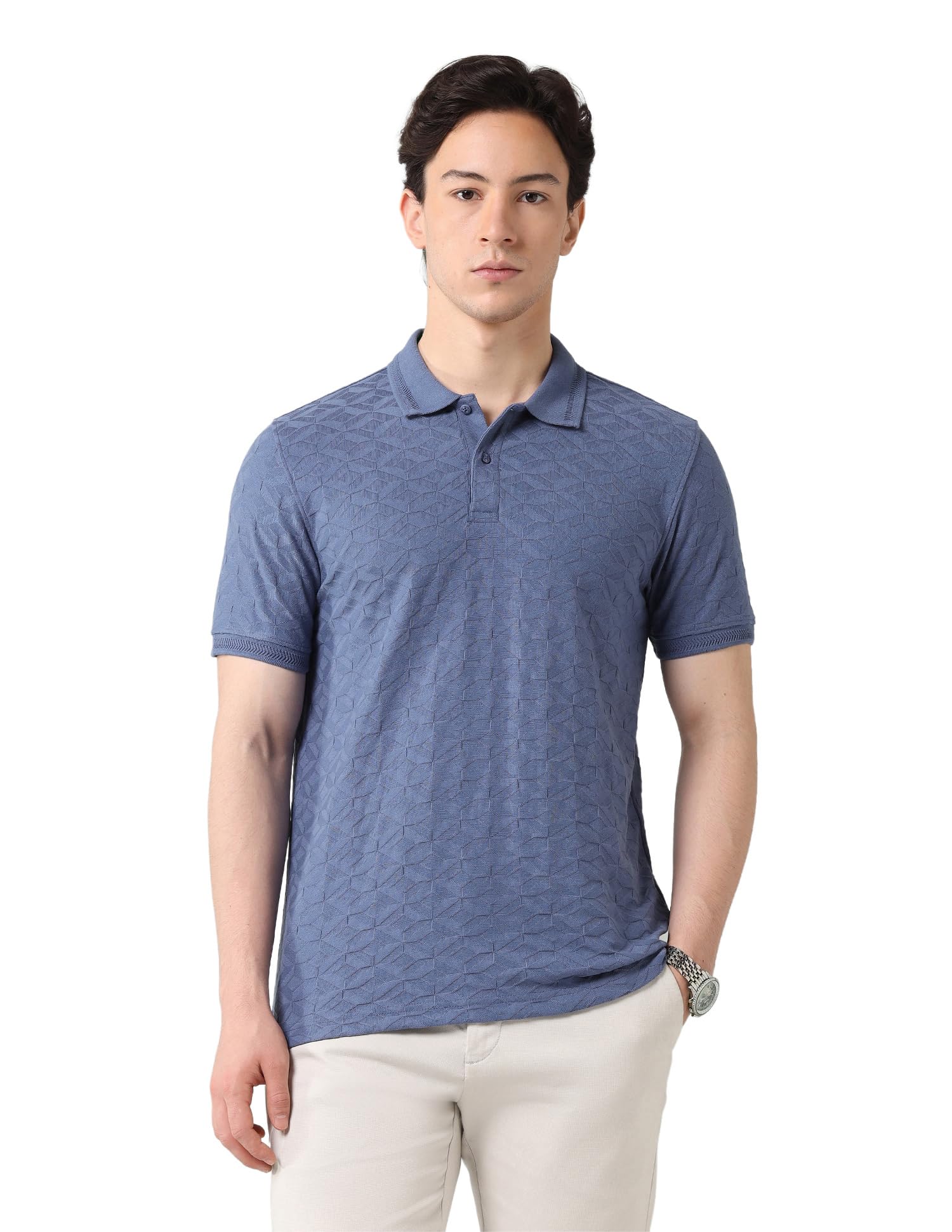 arvind Solid Regular Fit Polo Shirt Indigo-picture-33